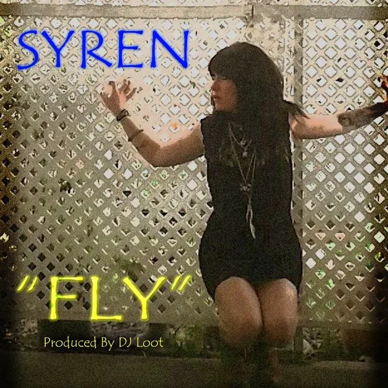 Fly