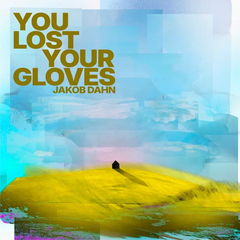 You Lost Your Gloves