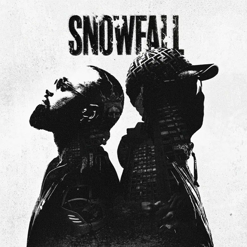 Snowfall