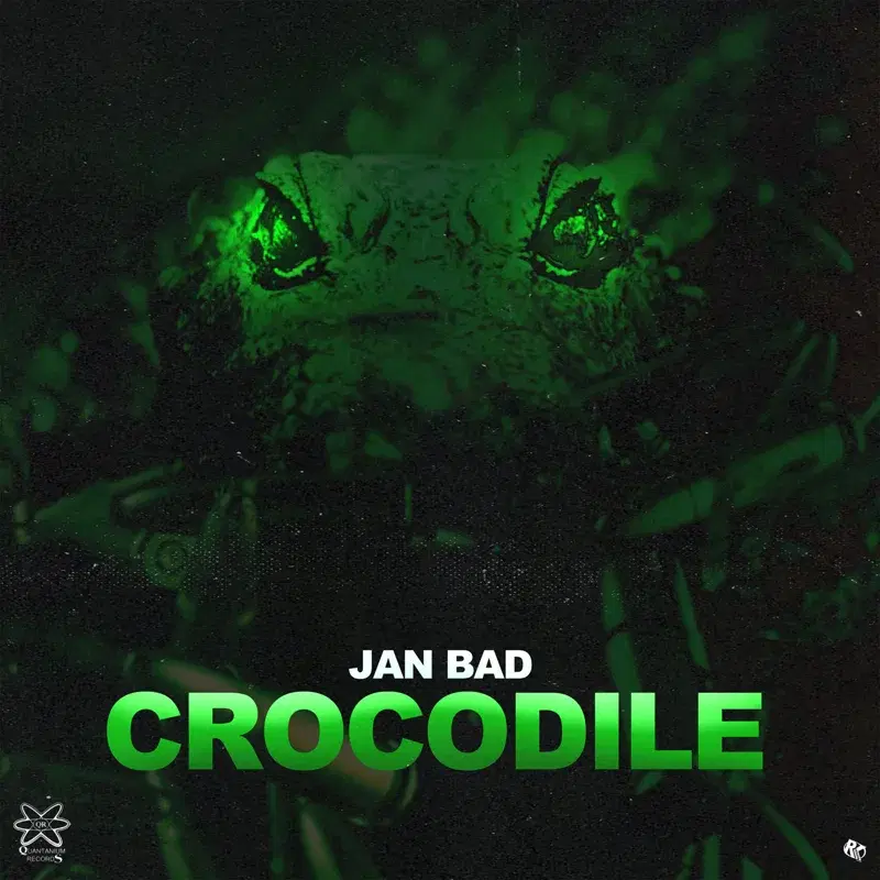 Crocodile
