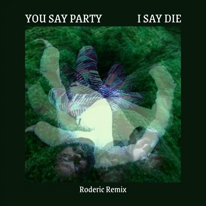 You Say Party I Say Die