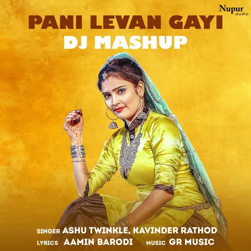 Pani Levan Gayi DJ Mashup