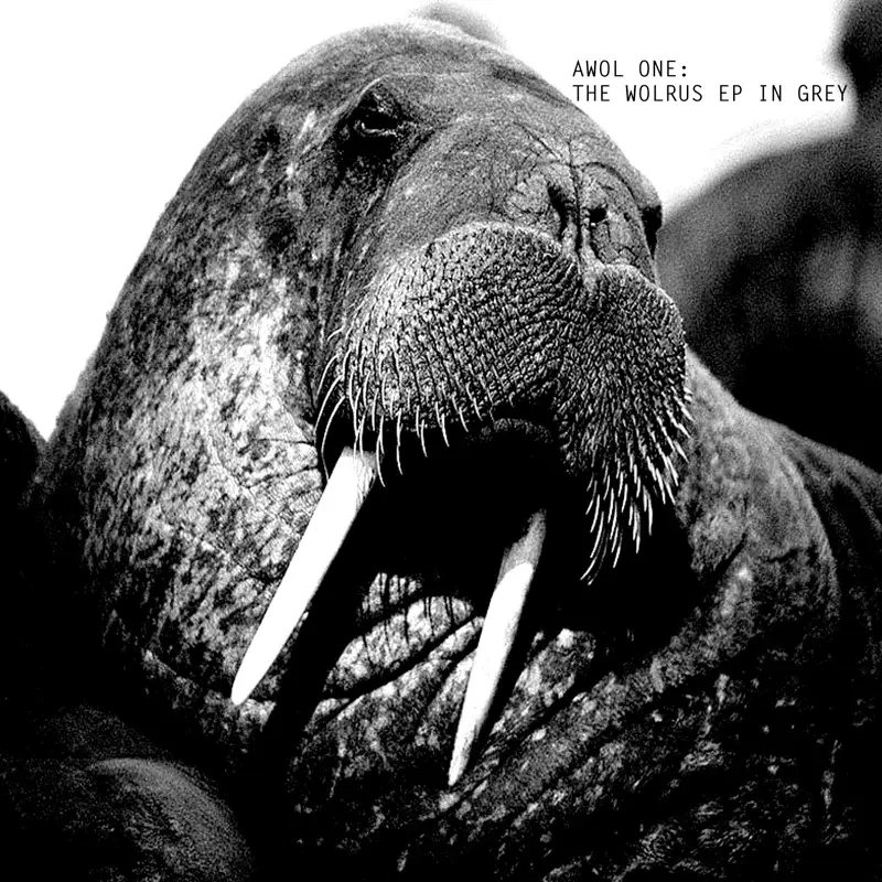 THE WALRUS EP IN GREY
