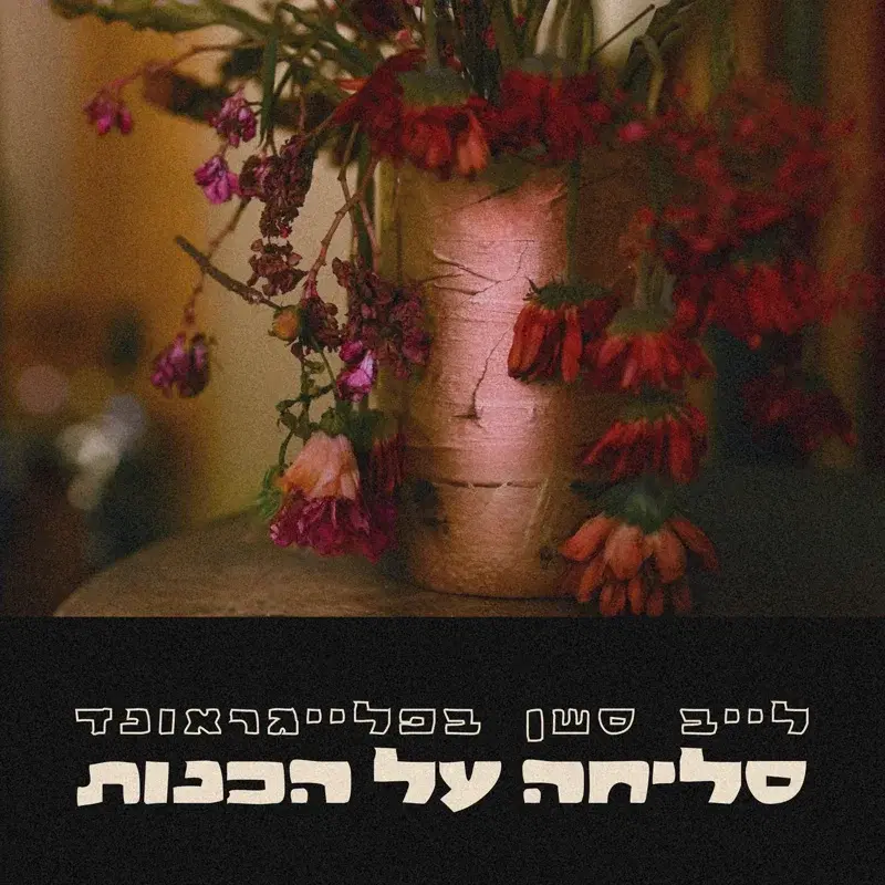 סליחה על הכנות