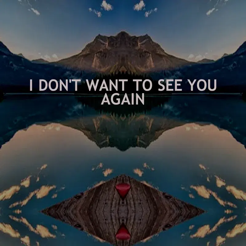 I DO NOT WANT TO SEE YOU AGAIN