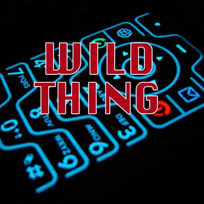 Wild Thing (Intro)