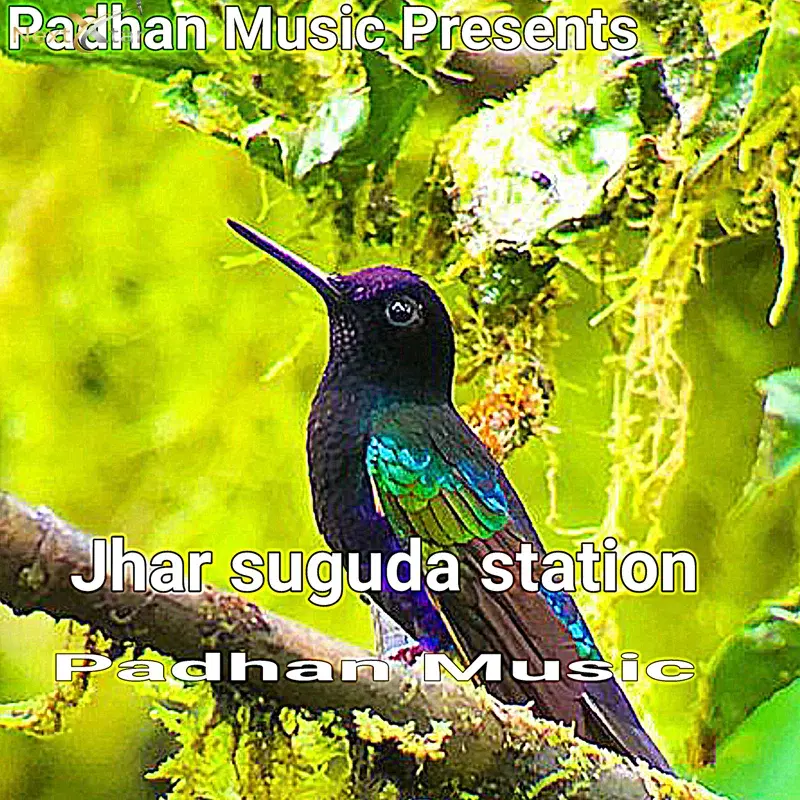 Jhar Suguda Station