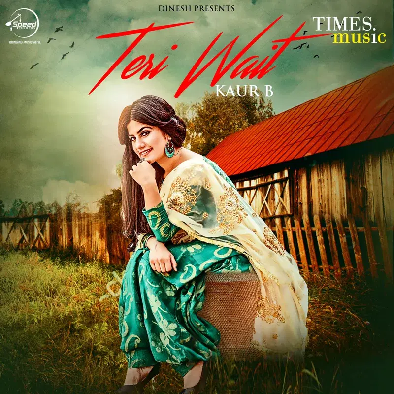 Teri Wait - Single