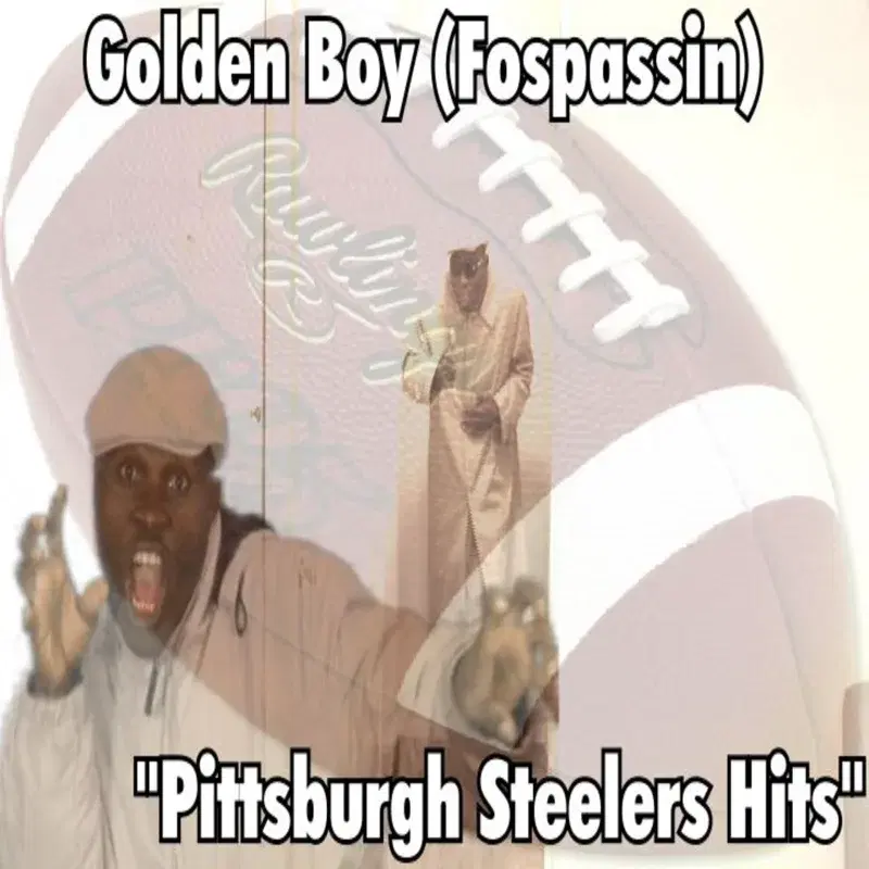 Pittsburgh Steelers Hits