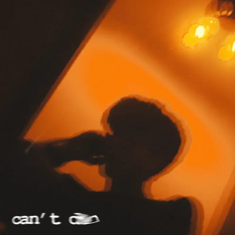 can't do