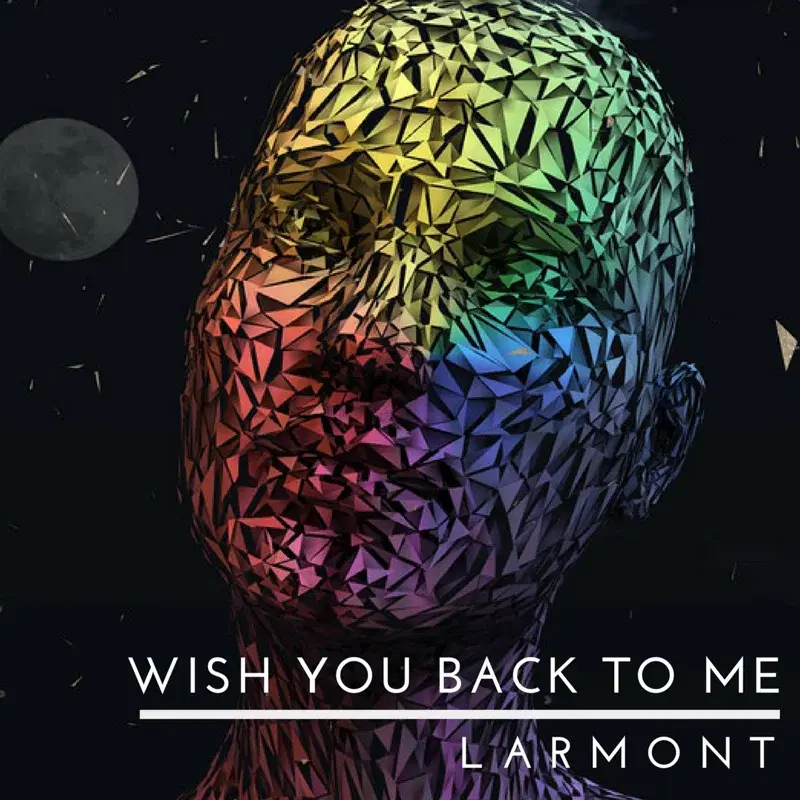 Wish You Back Me