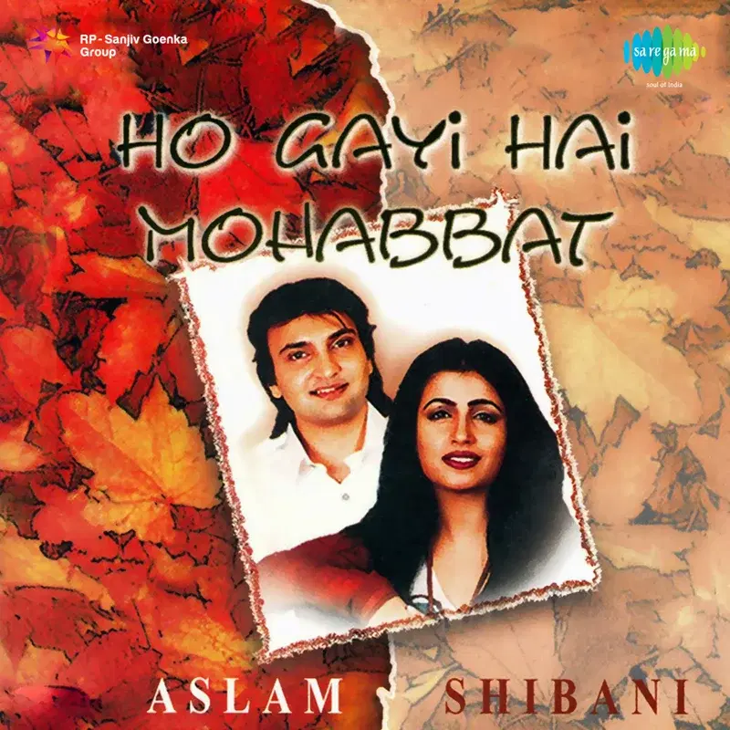 Ho Gayi Hai Mohabbat