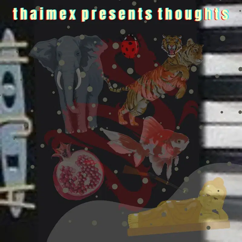 ThaiMex Presents... Thoughts