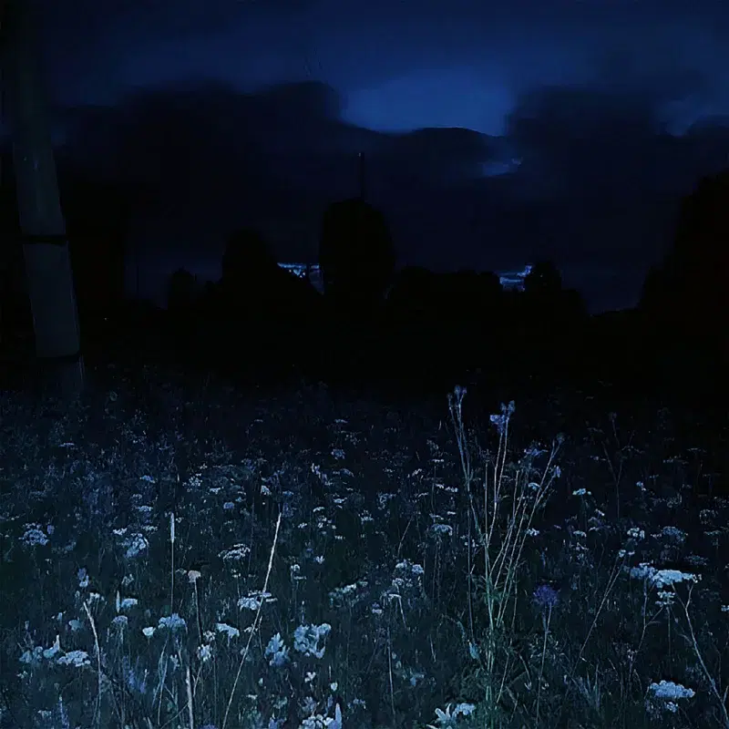 awareness