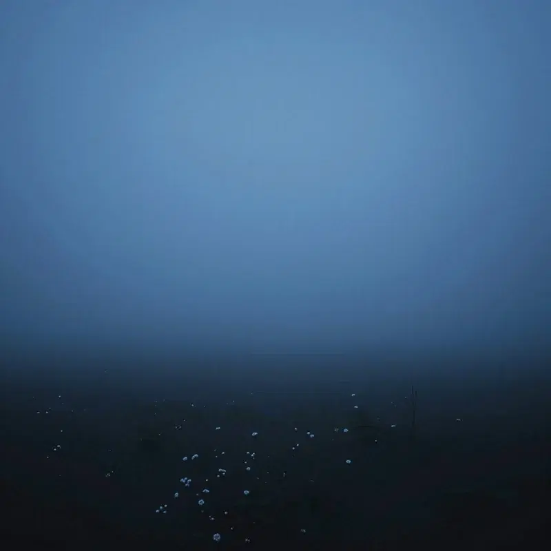Gentle Space