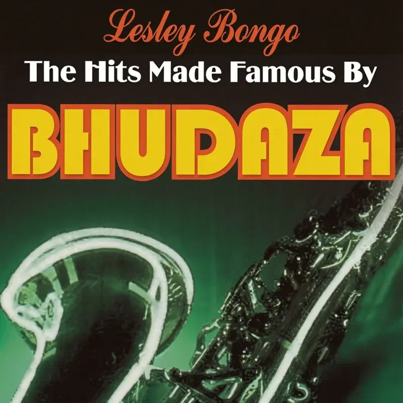 The Hits made famous by Bhudaza