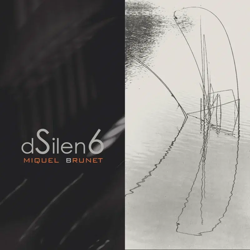 DSILEN6
