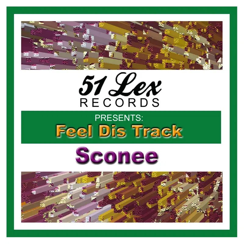 51 Lex Presents Feel Dis Track - Single
