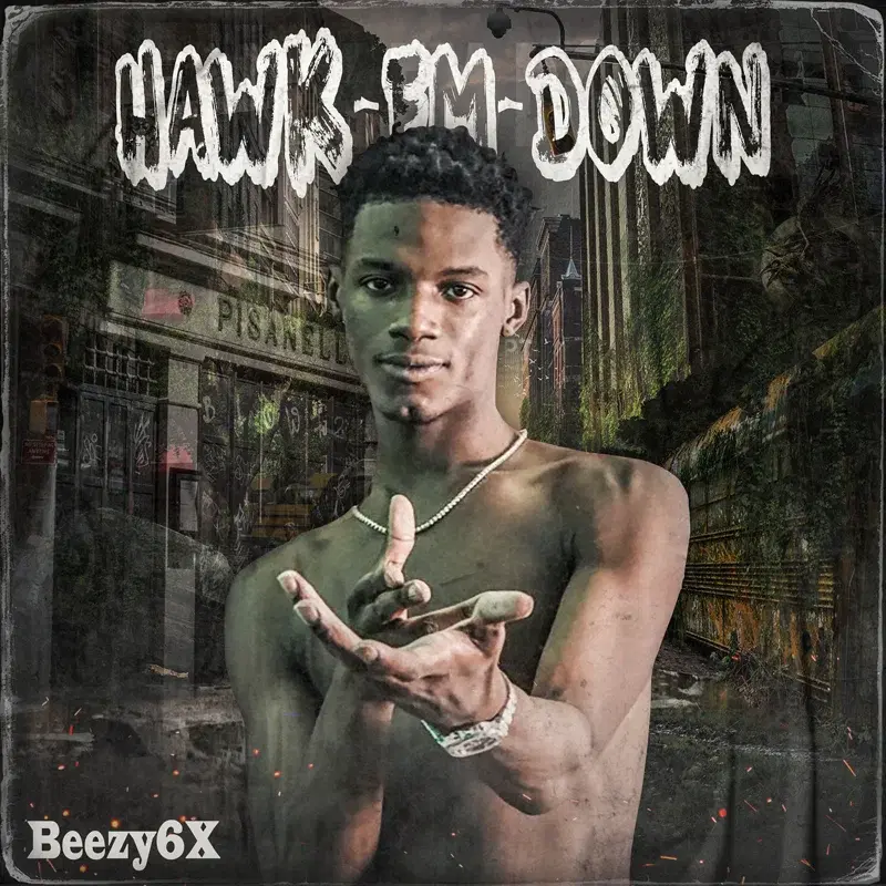 Hawk-Em-Down