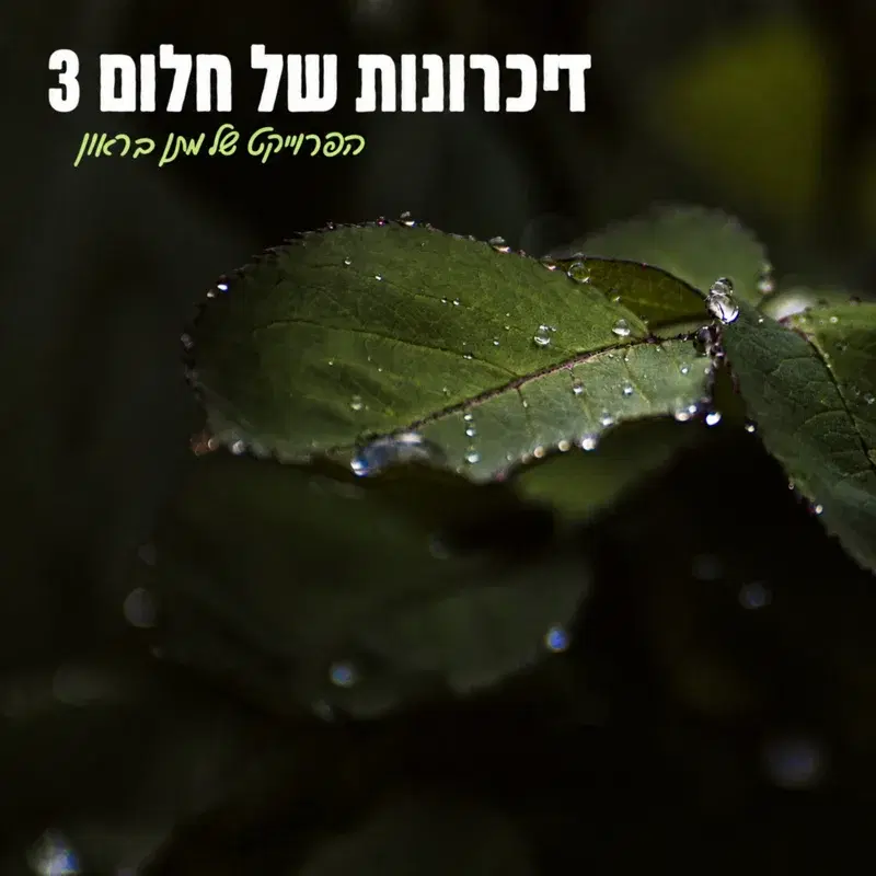 זיכרונות של חלום 3