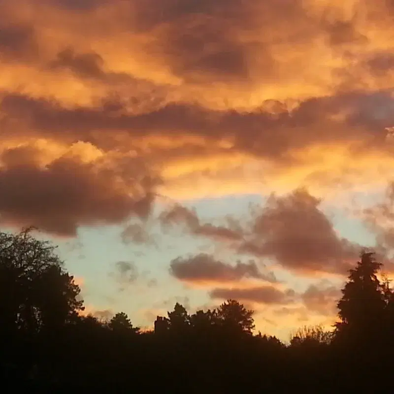Last Light