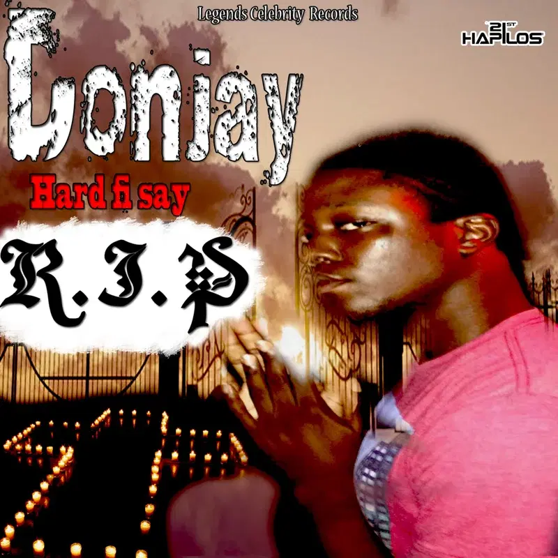 Hard Fi Say R.I.P - Single
