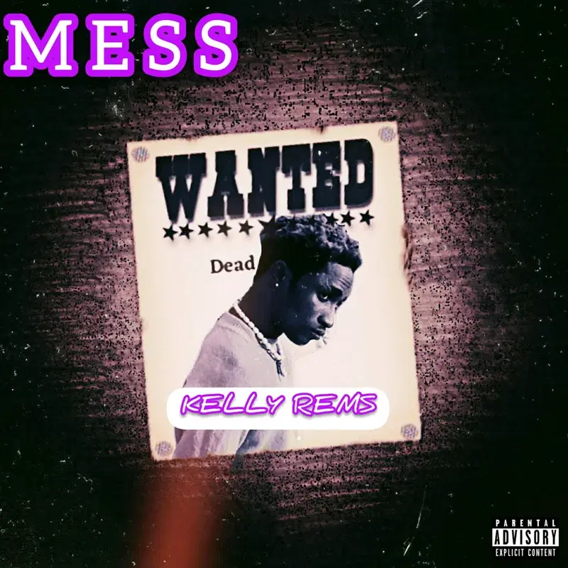 Mess