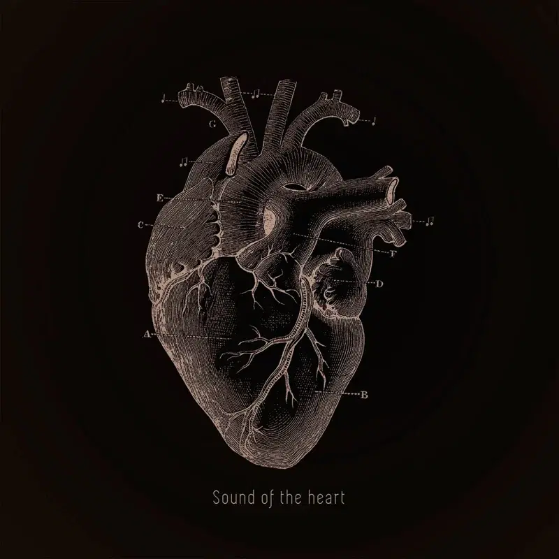 Sound of the Heart