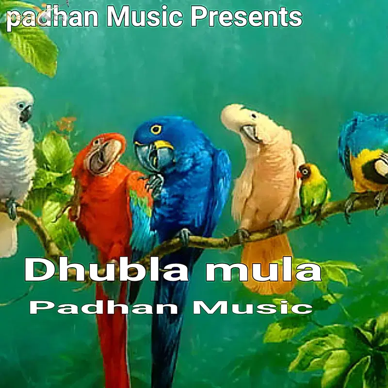 Dhubla Mula