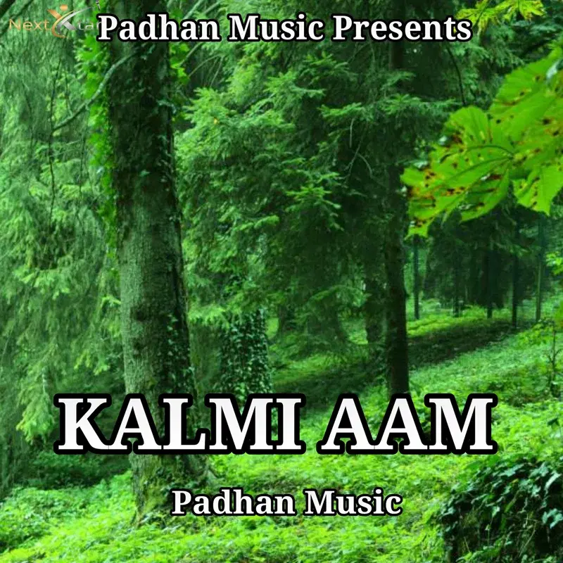 Kalmi Aam
