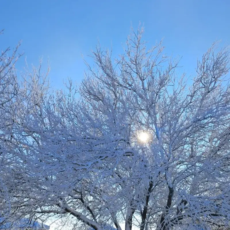 COLD