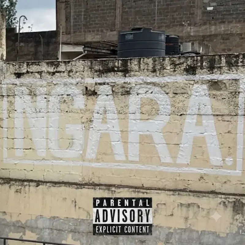 Ngara