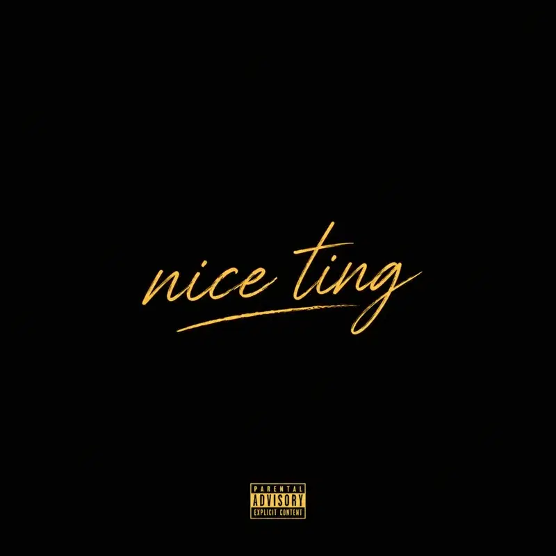 Nice Ting