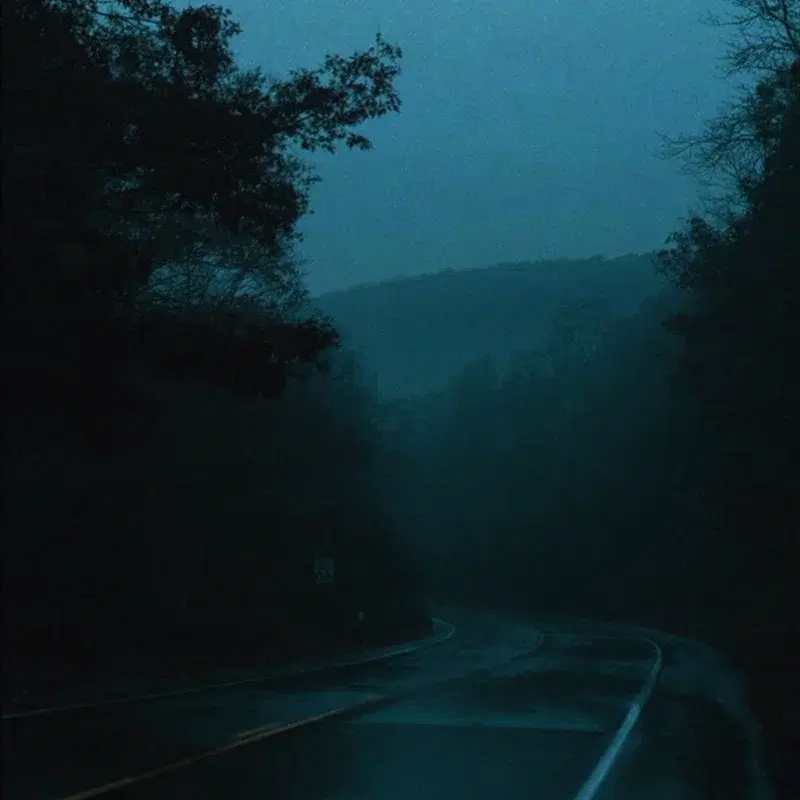 moonlit