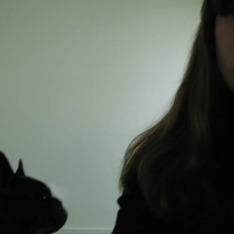 Black Dog