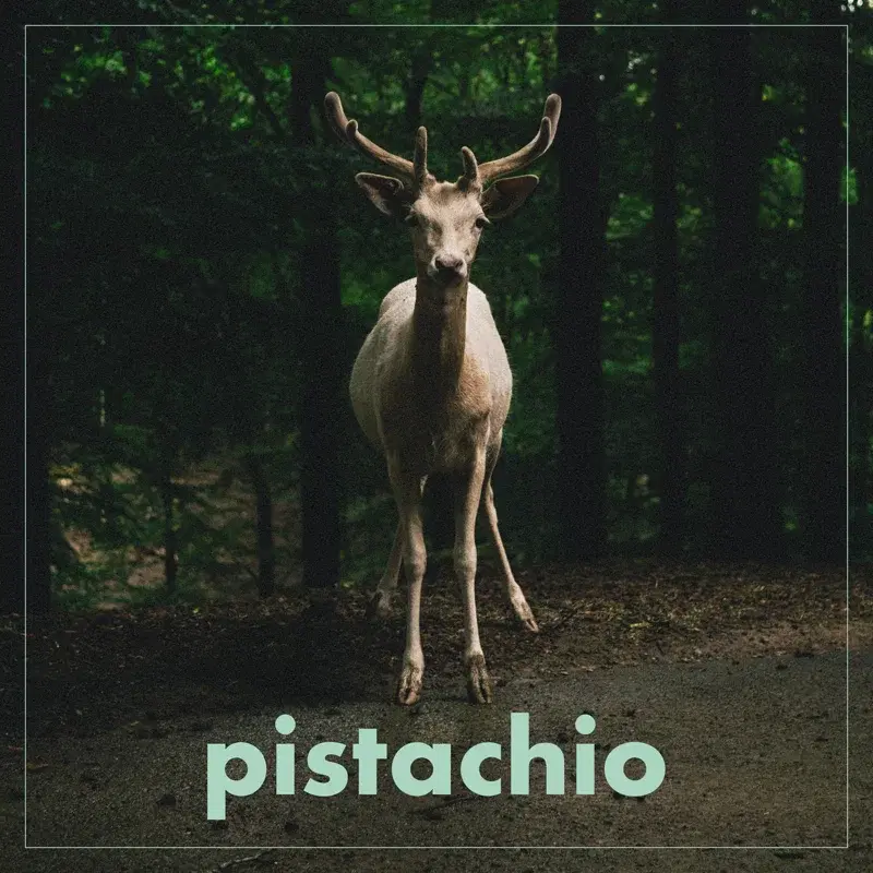 Pistachio
