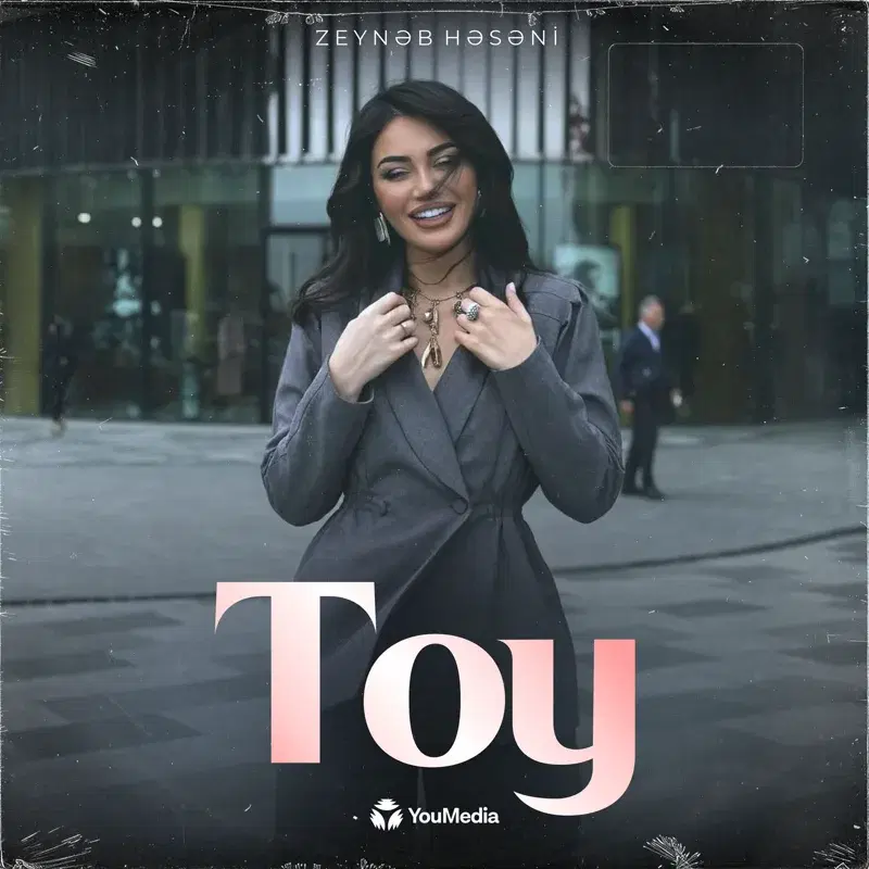 Toy