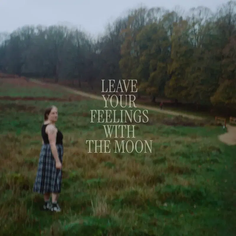 leave your feelings with the moon