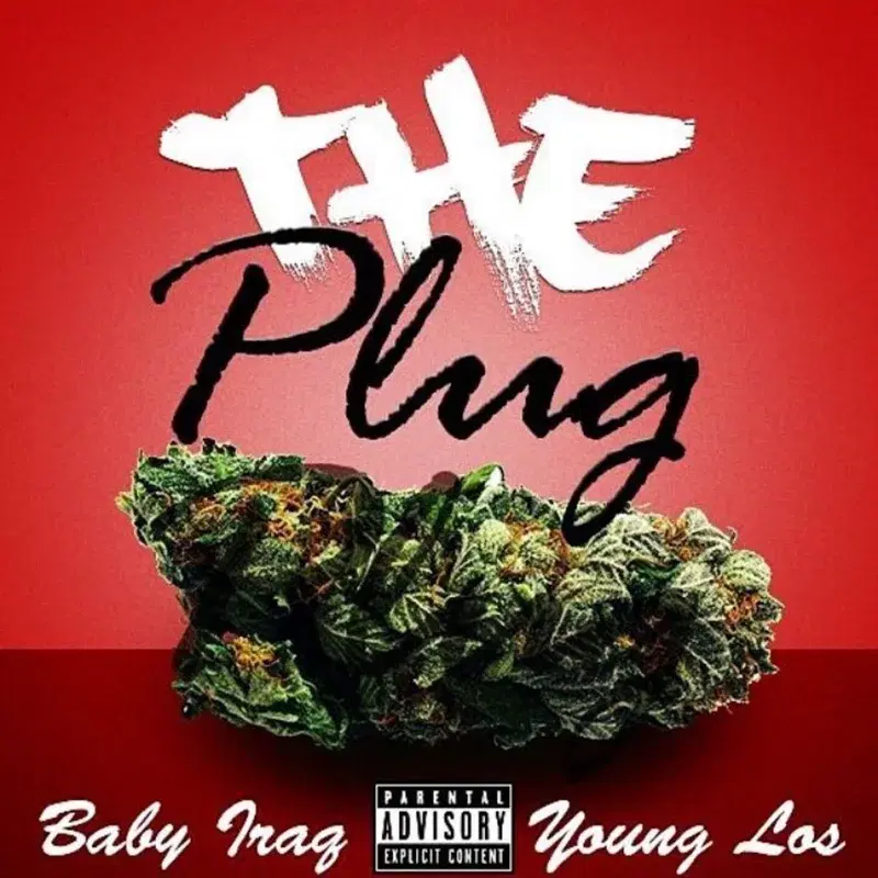 The Plug