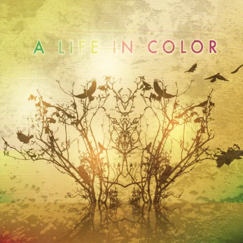 A Life in Color