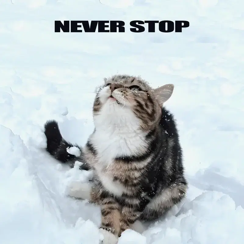 Never Stop