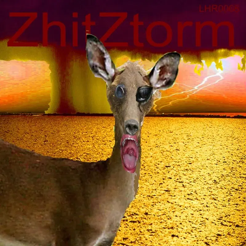Zhitztorm