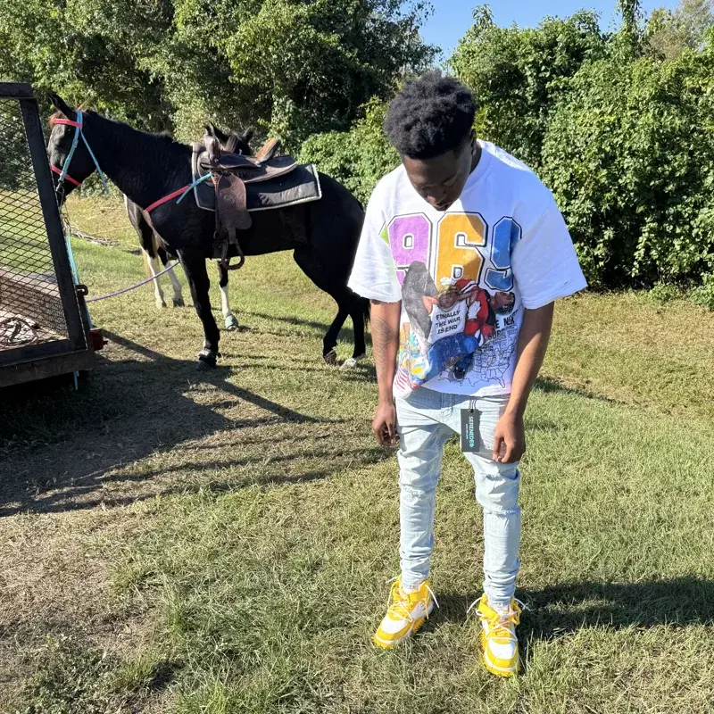 Cover Art