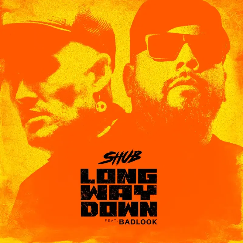 Long Way Down (feat. Badlook)