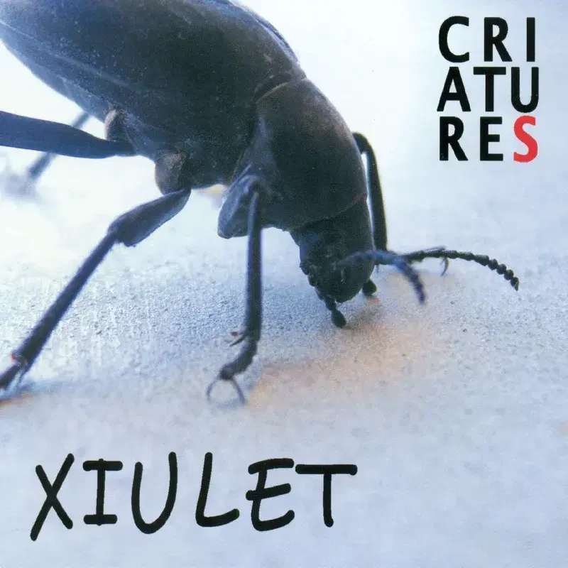 Xiulet