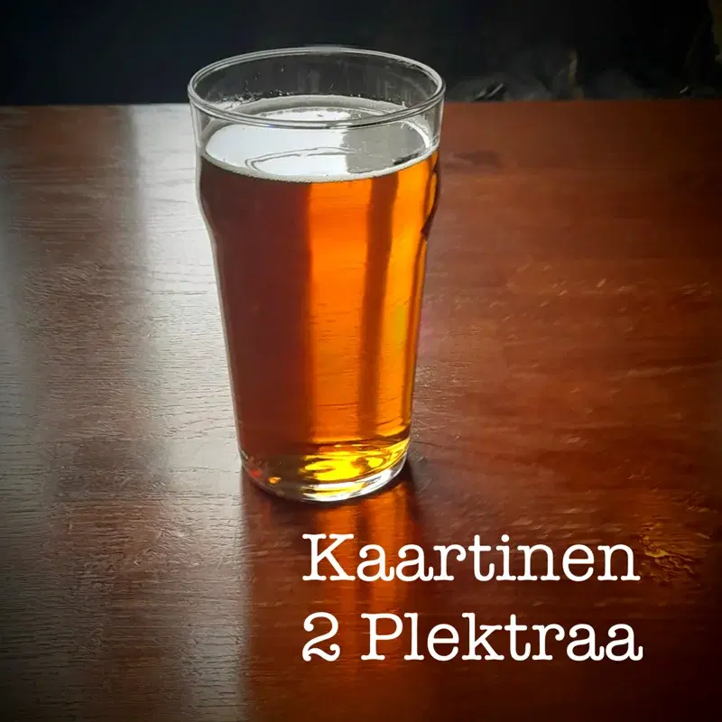 2 Plektraa