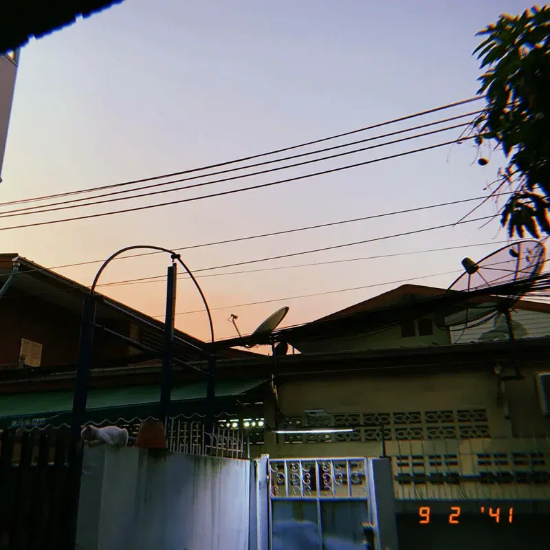 กลับมาหา