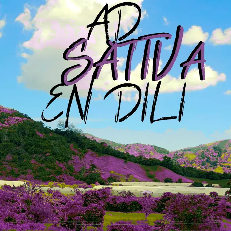 EN DILI
