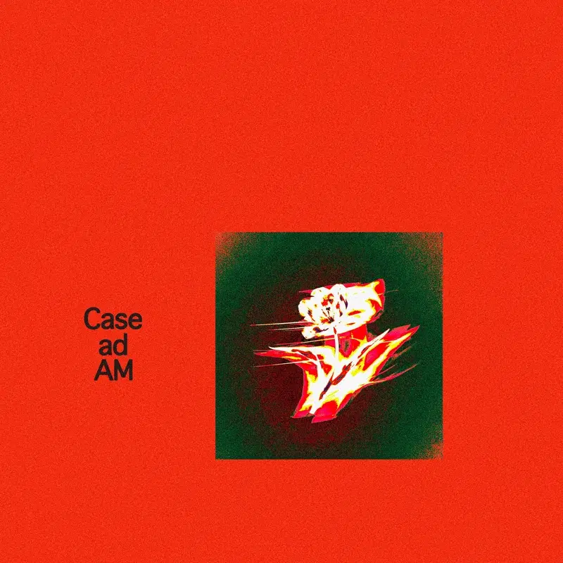Case ad AM