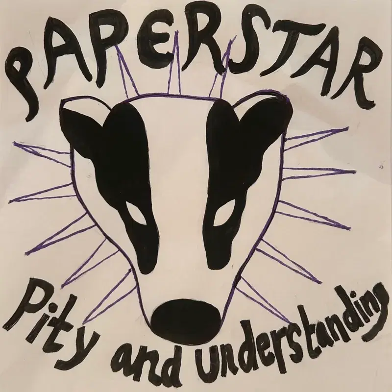 Pity and Understanding